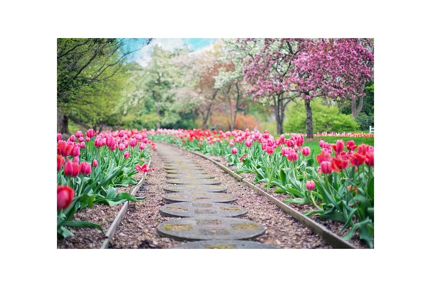 Herramientas Makita para el cuidado de tu jardín